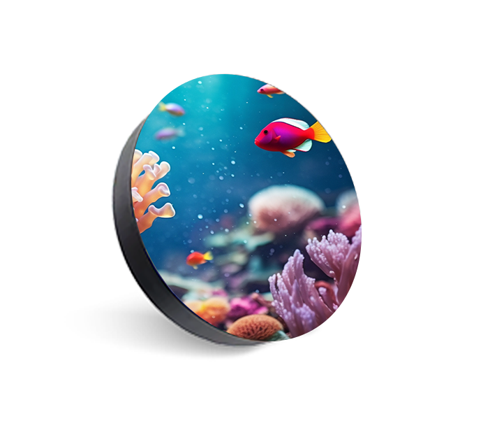 P2.9 Disc LED Screen