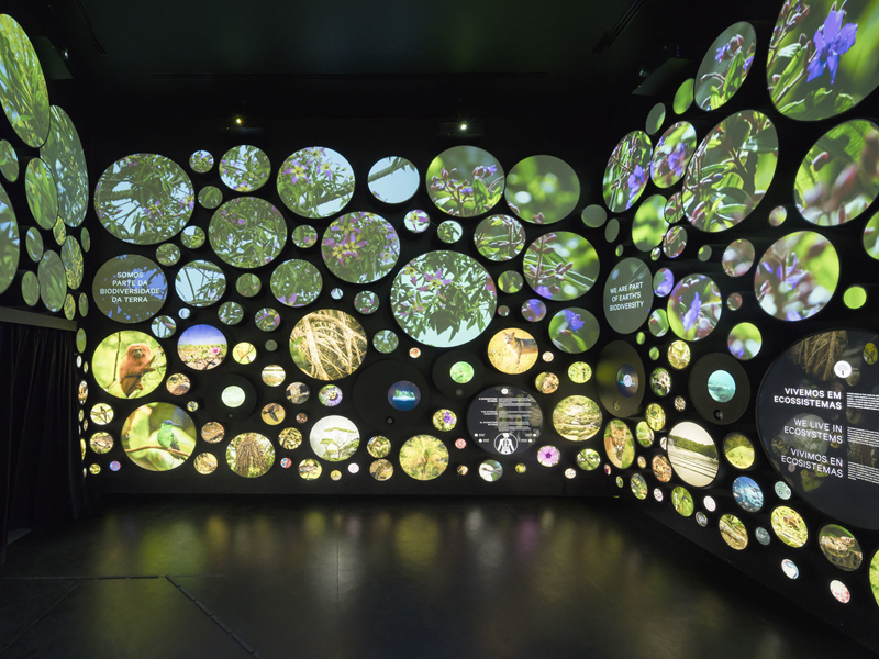 Integrated Flexible LED Displays in Architecture