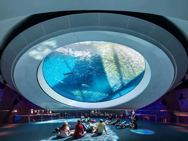 What Is an Immersive LED Dome Screen?